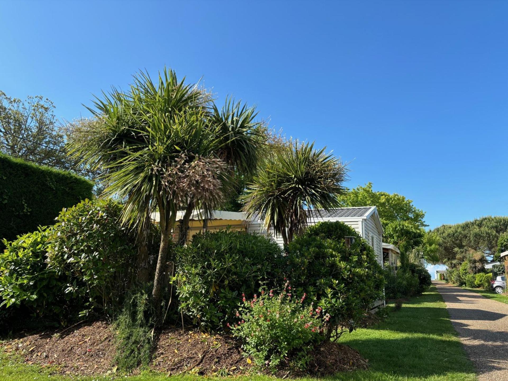 Tahiti Village La Grande Cote Saint-Palais-sur-Mer Zewnętrze zdjęcie